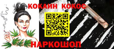 сатива Кингисепп