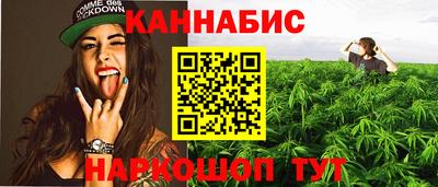 сатива Кинель