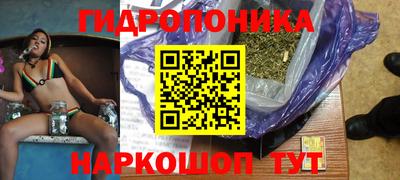 сатива Кингисепп