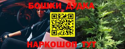 сатива Кингисепп