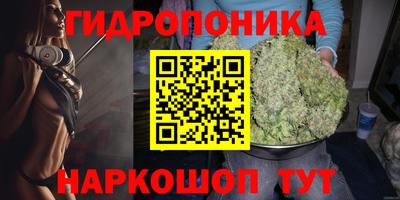 мяу мяу мука Кимры