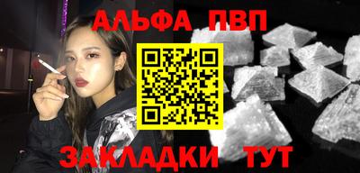 сатива Кингисепп